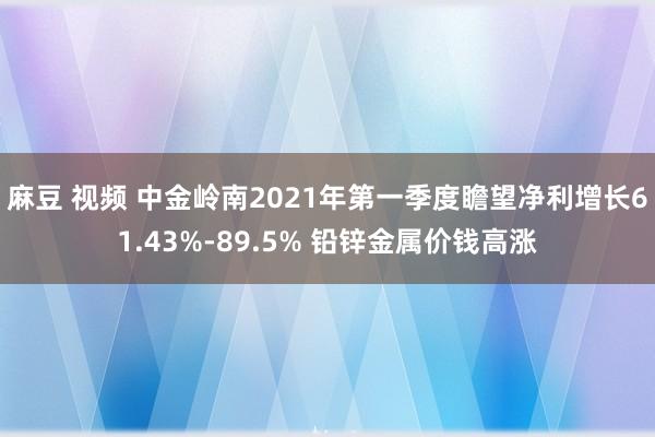 麻豆 视频 中金岭南2021年第一季度瞻望净利增长61.43%-89.5% 铅锌金属价钱高涨