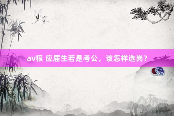 av狼 应届生若是考公,该怎样选岗?