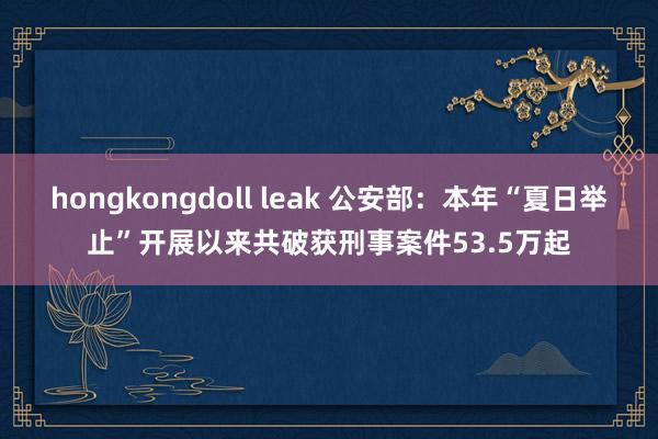 hongkongdoll leak 公安部：本年“夏日举止”开展以来共破获刑事案件53.5万起