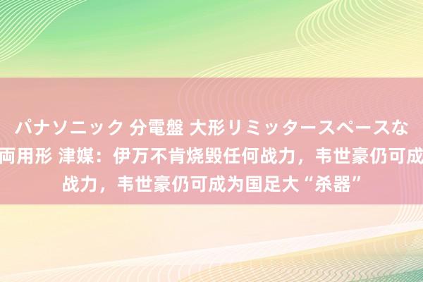 パナソニック 分電盤 大形リミッタースペースなし 露出・半埋込両用形 津媒：伊万不肯烧毁任何战力，韦世豪仍可成为国足大“杀器”