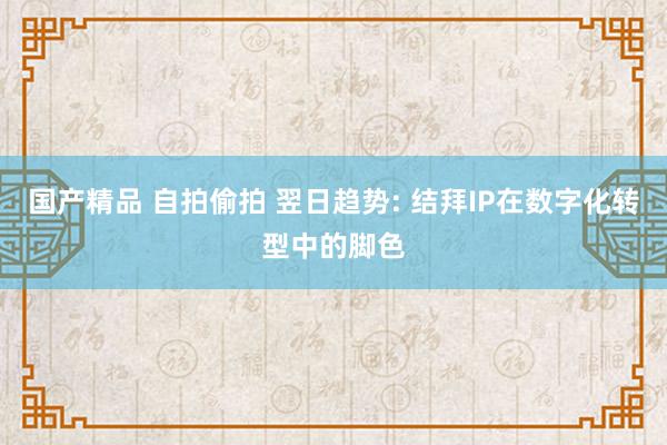 国产精品 自拍偷拍 翌日趋势: 结拜IP在数字化转型中的脚色