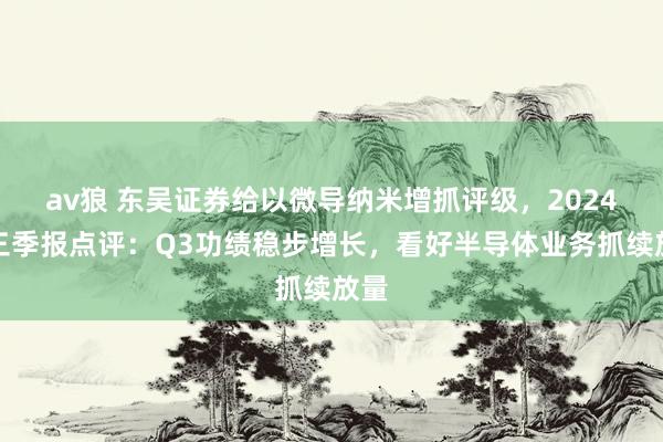 av狼 东吴证券给以微导纳米增抓评级,2024年三季报点评:Q3功绩稳步增长,看好半导体业务抓续放量