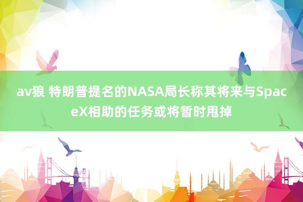 av狼 特朗普提名的NASA局长称其将来与SpaceX相助的任务或将暂时甩掉
