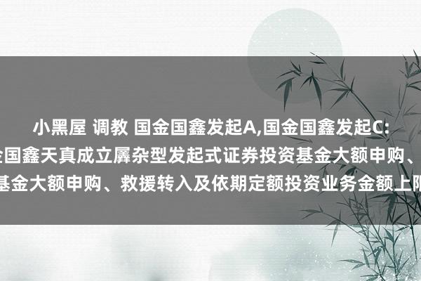 小黑屋 调教 国金国鑫发起A,国金国鑫发起C: 对于对单个基金账户国金国鑫天真成立羼杂型发起式证券投资基金大额申购、救援转入及依期定额投资业务金额上限调整的公告