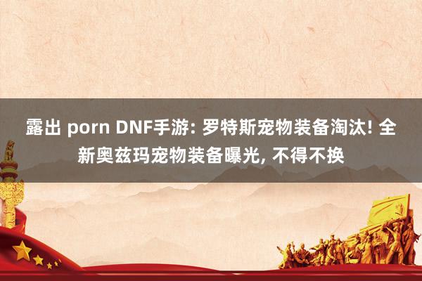 露出 porn DNF手游: 罗特斯宠物装备淘汰! 全新奥兹玛宠物装备曝光， 不得不换