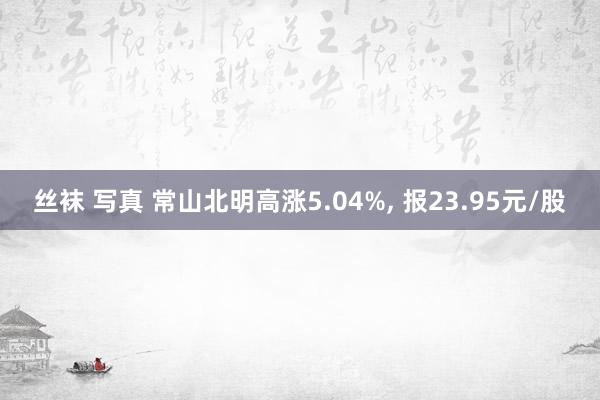 丝袜 写真 常山北明高涨5.04%， 报23.95元/股