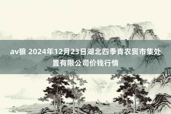 av狼 2024年12月23日湖北四季青农贸市集处置有限公司价钱行情