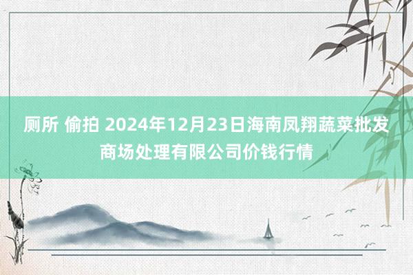 厕所 偷拍 2024年12月23日海南凤翔蔬菜批发商场处理有限公司价钱行情