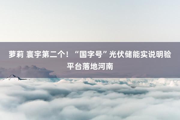 萝莉 寰宇第二个!“国字号”光伏储能实说明验平台落地河南