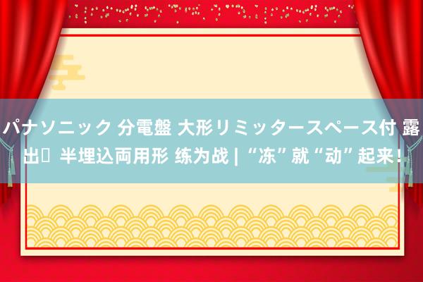 パナソニック 分電盤 大形リミッタースペース付 露出・半埋込両用形 练为战 | “冻”就“动”起来！