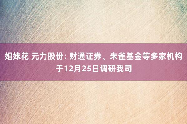 姐妹花 元力股份: 财通证券、朱雀基金等多家机构于12月25日调研我司