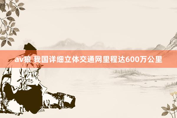av狼 我国详细立体交通网里程达600万公里