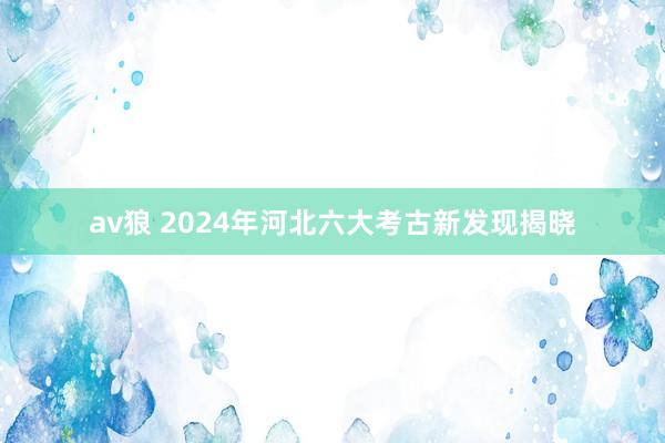av狼 2024年河北六大考古新发现揭晓