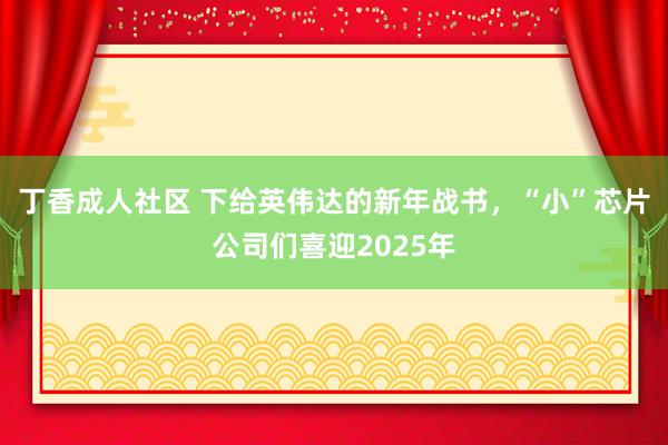 丁香成人社区 下给英伟达的新年战书，“小”芯片公司们喜迎2025年