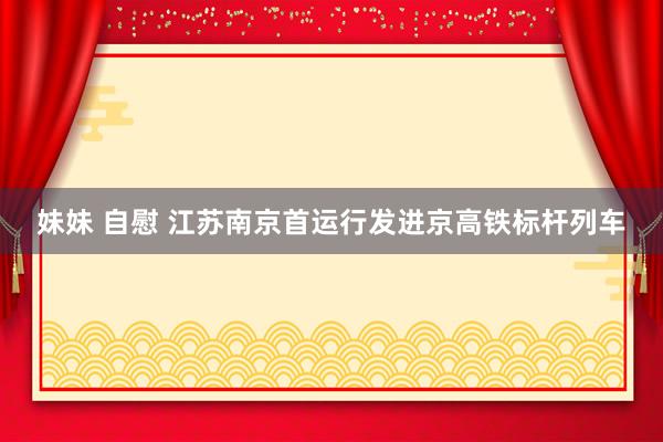 妹妹 自慰 江苏南京首运行发进京高铁标杆列车