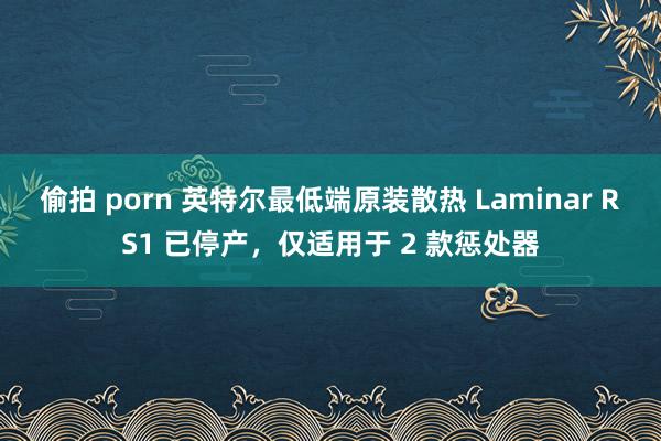 偷拍 porn 英特尔最低端原装散热 Laminar RS1 已停产，仅适用于 2 款惩处器