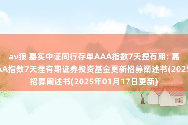 av狼 嘉实中证同行存单AAA指数7天捏有期: 嘉实中证同行存单AAA指数7天捏有期证券投资基金更新招募阐述书(2025年01月17日更新)