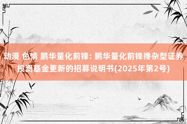 动漫 色情 鹏华量化前锋: 鹏华量化前锋搀杂型证券投资基金更新的招募说明书(2025年第2号)