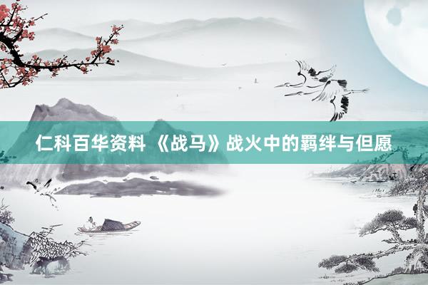 仁科百华资料 《战马》战火中的羁绊与但愿
