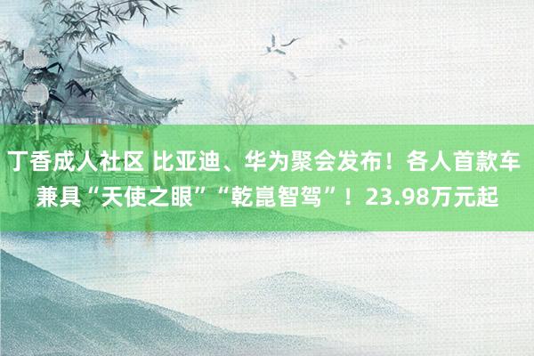丁香成人社区 比亚迪、华为聚会发布！各人首款车 兼具“天使之眼”“乾崑智驾”！23.98万元起