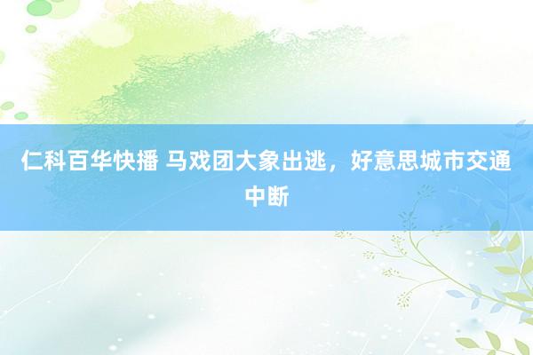 仁科百华快播 马戏团大象出逃，好意思城市交通中断