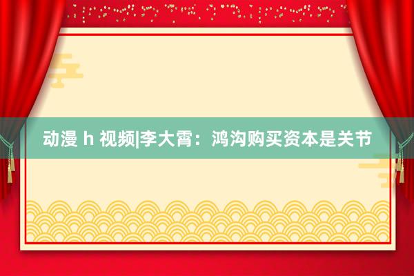 动漫 h 视频|李大霄：鸿沟购买资本是关节