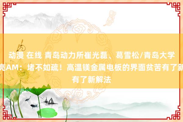 动漫 在线 青岛动力所崔光磊、葛雪松/青岛大学李洪亮AM：堵不如疏！高温镁金属电板的界面贫苦有了新解法