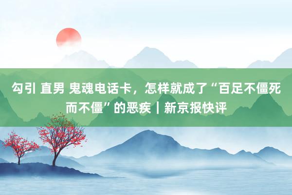 勾引 直男 鬼魂电话卡，怎样就成了“百足不僵死而不僵”的恶疾｜新京报快评