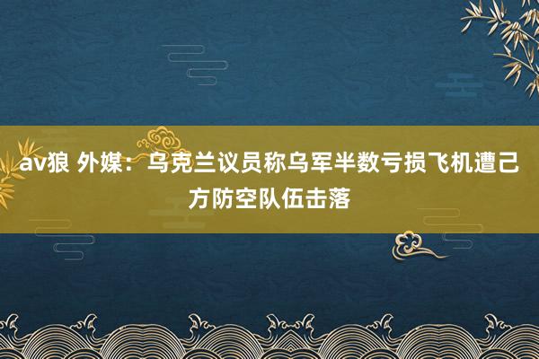 av狼 外媒：乌克兰议员称乌军半数亏损飞机遭己方防空队伍击落