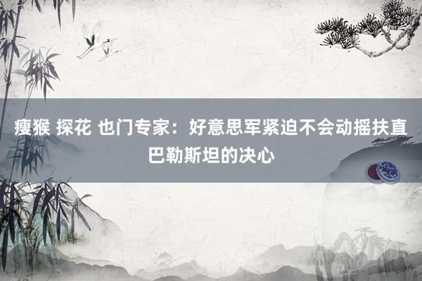 瘦猴 探花 也门专家：好意思军紧迫不会动摇扶直巴勒斯坦的决心