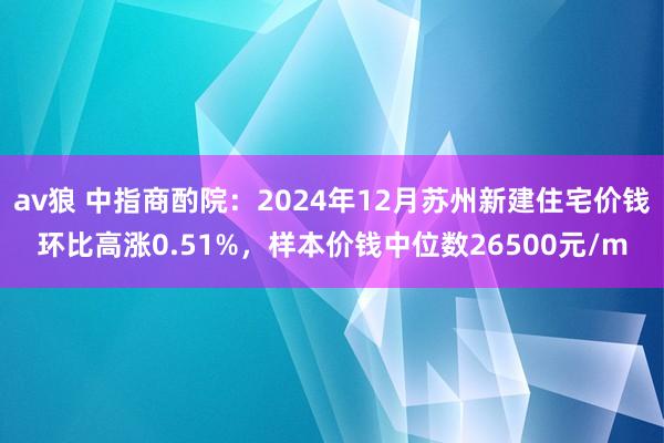 av狼 中指商酌院：2024年12月苏州新建住宅价钱环比高涨0.51%，样本价钱中位数26500元/m