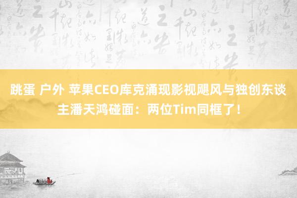跳蛋 户外 苹果CEO库克涌现影视飓风与独创东谈主潘天鸿碰面：两位Tim同框了！
