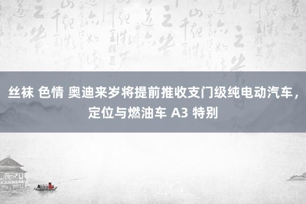 丝袜 色情 奥迪来岁将提前推收支门级纯电动汽车，定位与燃油车 A3 特别
