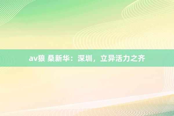 av狼 桑新华：深圳，立异活力之齐