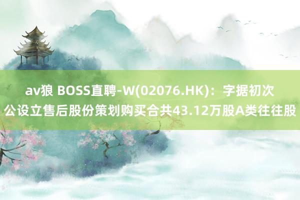av狼 BOSS直聘-W(02076.HK)：字据初次公设立售后股份策划购买合共43.12万股A类往往股