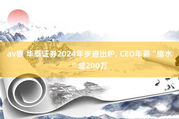 av狼 华泰证券2024年岁迹出炉， CEO年薪“缩水”超200万