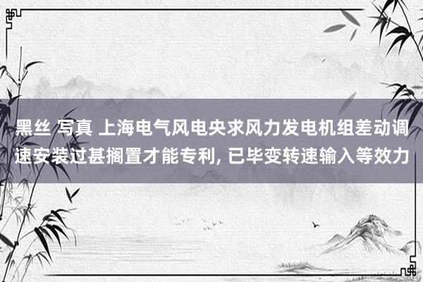黑丝 写真 上海电气风电央求风力发电机组差动调速安装过甚搁置才能专利， 已毕变转速输入等效力