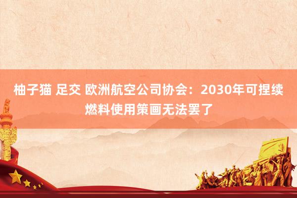 柚子猫 足交 欧洲航空公司协会：2030年可捏续燃料使用策画无法罢了