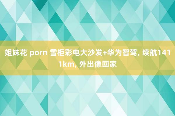姐妹花 porn 雪柜彩电大沙发+华为智驾， 续航1411km， 外出像回家