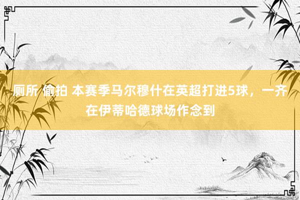 厕所 偷拍 本赛季马尔穆什在英超打进5球，一齐在伊蒂哈德球场作念到