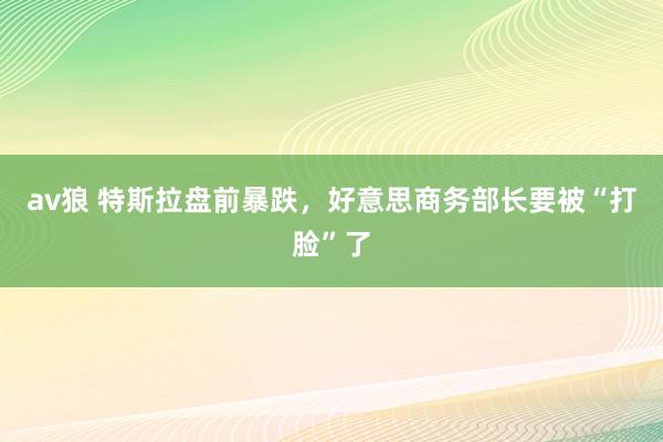 av狼 特斯拉盘前暴跌，好意思商务部长要被“打脸”了