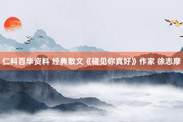 仁科百华资料 经典散文《碰见你真好》作家 徐志摩