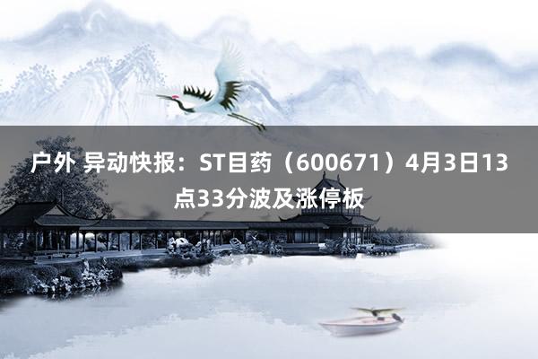 户外 异动快报：ST目药（600671）4月3日13点33分波及涨停板