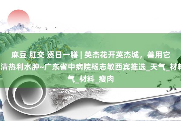 麻豆 肛交 逐日一膳 | 英杰花开英杰城，善用它，化湿清热利水肿~广东省中病院杨志敏西宾推选_天气_材料_瘦肉
