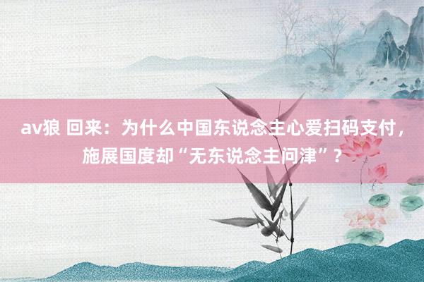 av狼 回来：为什么中国东说念主心爱扫码支付，施展国度却“无东说念主问津”？