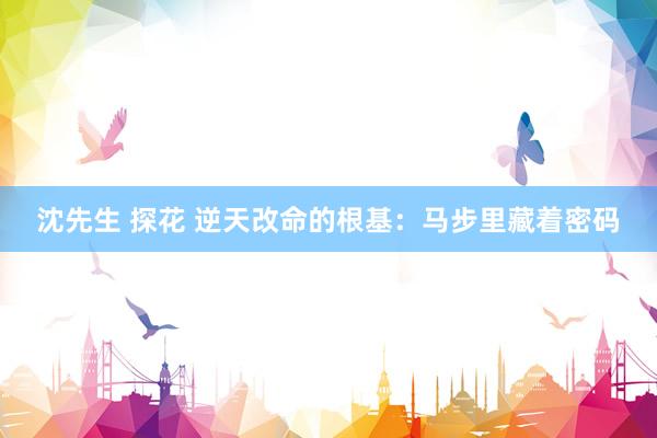 沈先生 探花 逆天改命的根基:马步里藏着密码