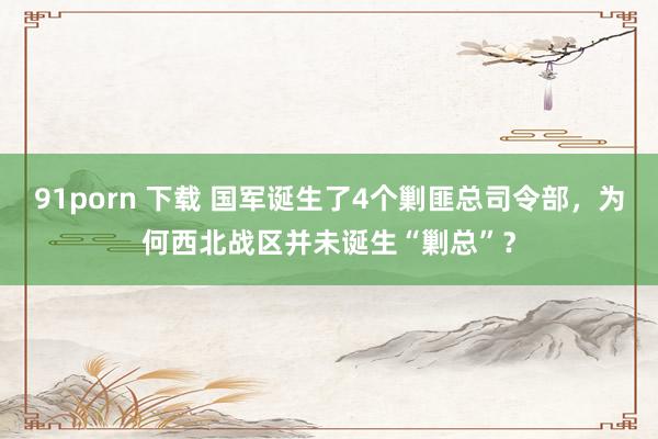 91porn 下载 国军诞生了4个剿匪总司令部，为何西北战区并未诞生“剿总”？