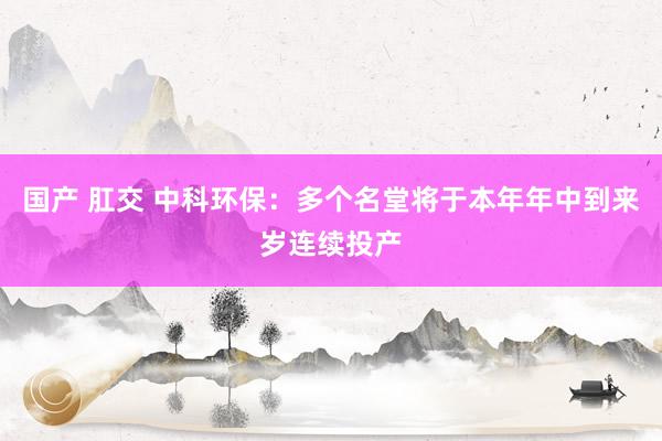 国产 肛交 中科环保：多个名堂将于本年年中到来岁连续投产