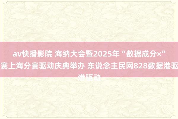 av快播影院 海纳大会暨2025年“数据成分×”大赛上海分赛驱动庆典举办 东说念主民网828数据港驱动