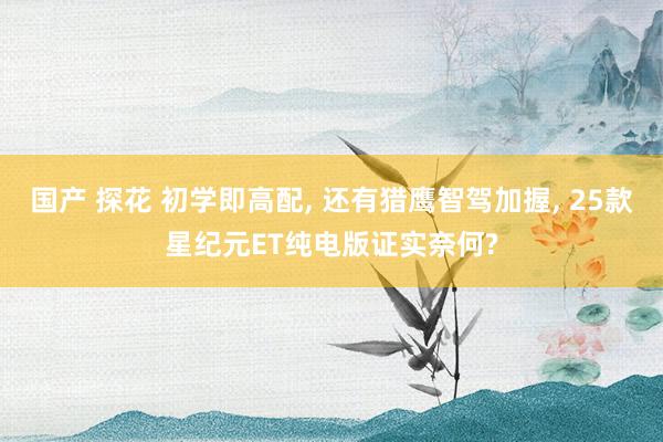 国产 探花 初学即高配， 还有猎鹰智驾加握， 25款星纪元ET纯电版证实奈何?